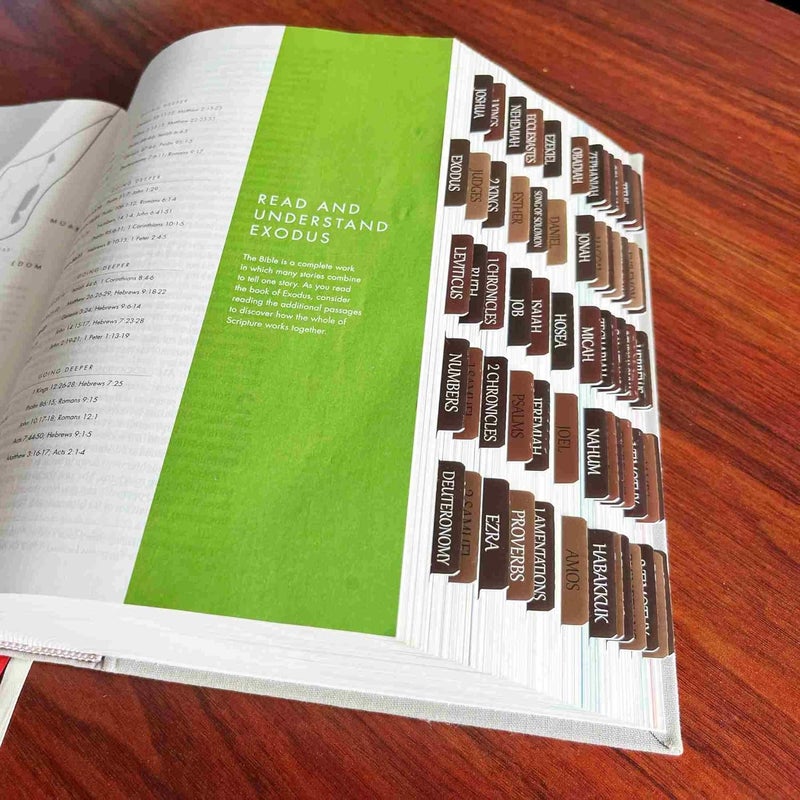 thinkor Reposition Laminated Bible Tabs, Large Print Stickers, Easy to Read & Apply Bible Tabs for Women & Man (Earthy Brown) - Image 4